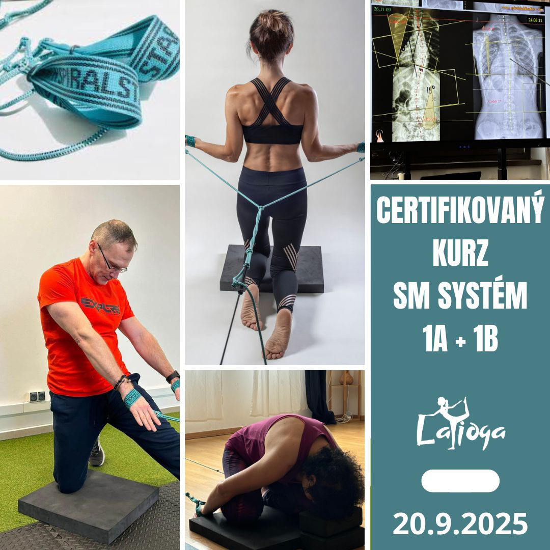 Certifikovany kurz SM system