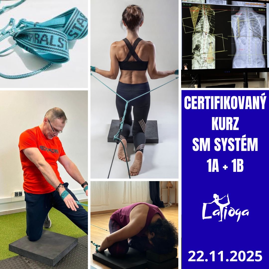 sm system cvicenie