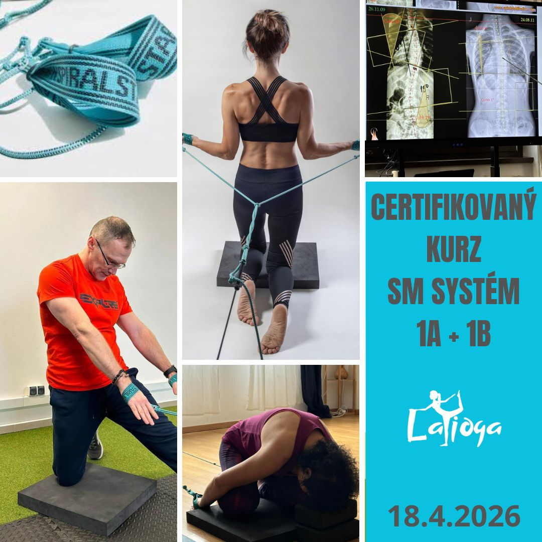 smsystem workshop